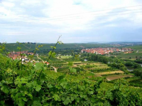 Ferien- und Winzerhof Ute Braun